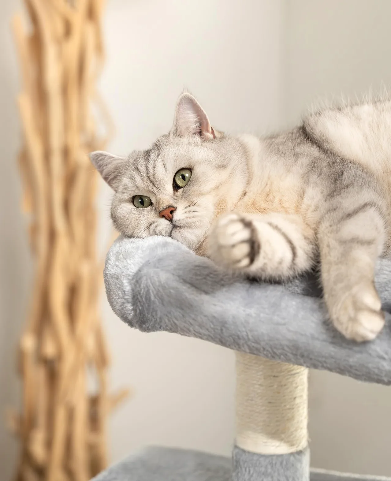 lionto Árbol rascador para Gatos Altura 80 cm, Gris Claro