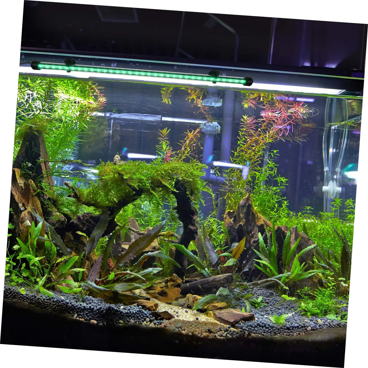 FOMIYES Luz Led Submarina Para Acuarios Lámpara Decorativa De Paisajismo Acuático Rgb Control Remoto Para Peceras De Agua Dulce y Salada