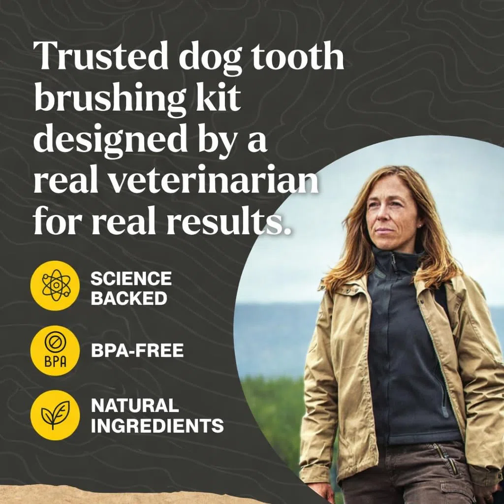 Dr. Oakley Total Dental Care Kit para perros: Sabor a mantequilla de maní, pasta de dientes, cepillos y estuche, natural