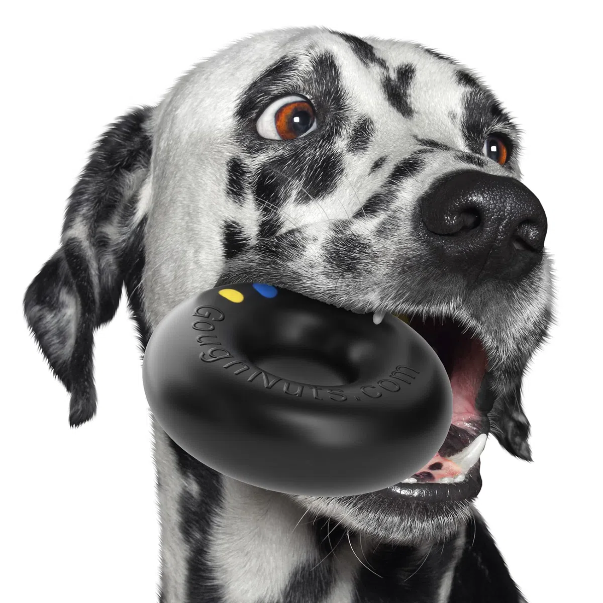Goughnuts – Mordedor para Perro, Indestructible, para Razas Grandes, Pitbulls, Juguete para Perro Muy Resistente, Negro