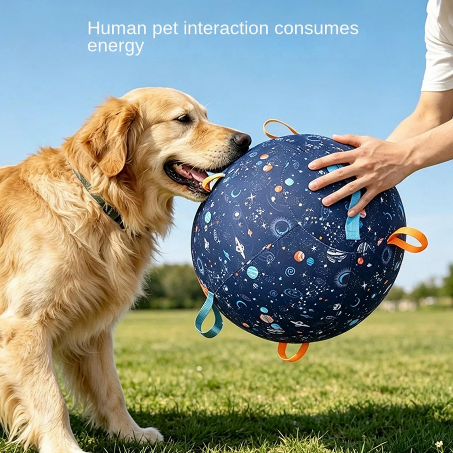 Pelota de pastoreo Hinchable Antiexplosión con Asas Juegos Aire Libre | Pelota De Pastoreo Instintiva Exterior Juguete Perros Pequeña Mediana Mascota Ocupada Estimulación