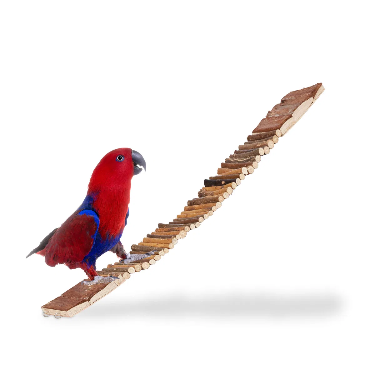 Relaxdays - Puente de Madera para roedor, Lote de 10, Flexible, Ojales para Colgar, Escala Jaula, pájaros, Chima, HLP, 1,5 x 55 x 10 cm, Naturaleza