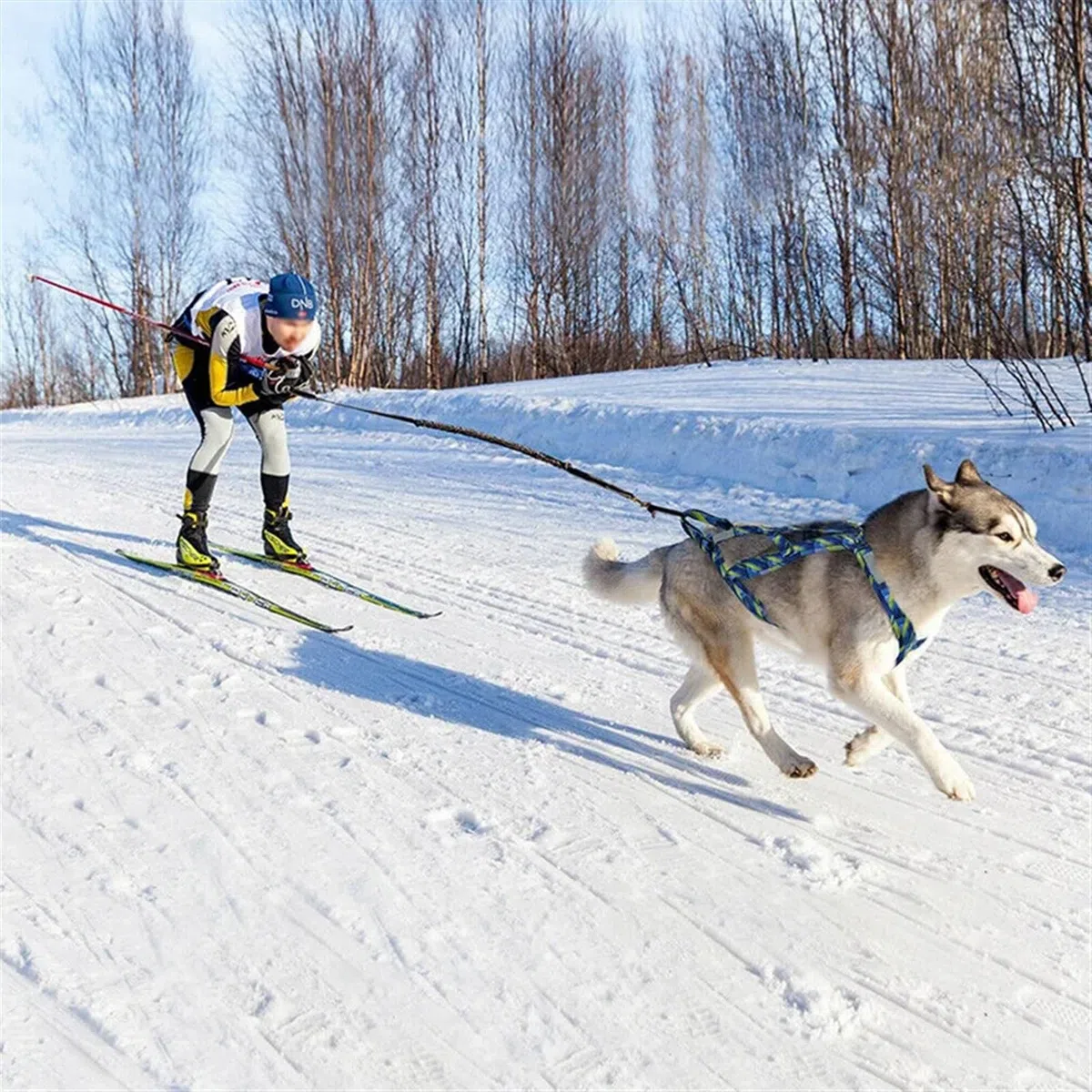 Arnés de tracción for perros Arnés de tracción de peso for perros, Arnés de entrenamiento de velocidad Skijoring, Arnés de trineo for perros de entrenamiento for perros medianos y grandes Arnés deport