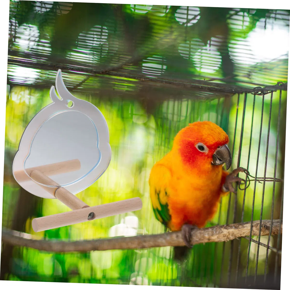 BESPORTBLE 5piezas Perch Espejo para Aves Soporte para Entrenamiento De Periquitos y Loros Juguete Interactivo y Decorativo para Jaula De Aves