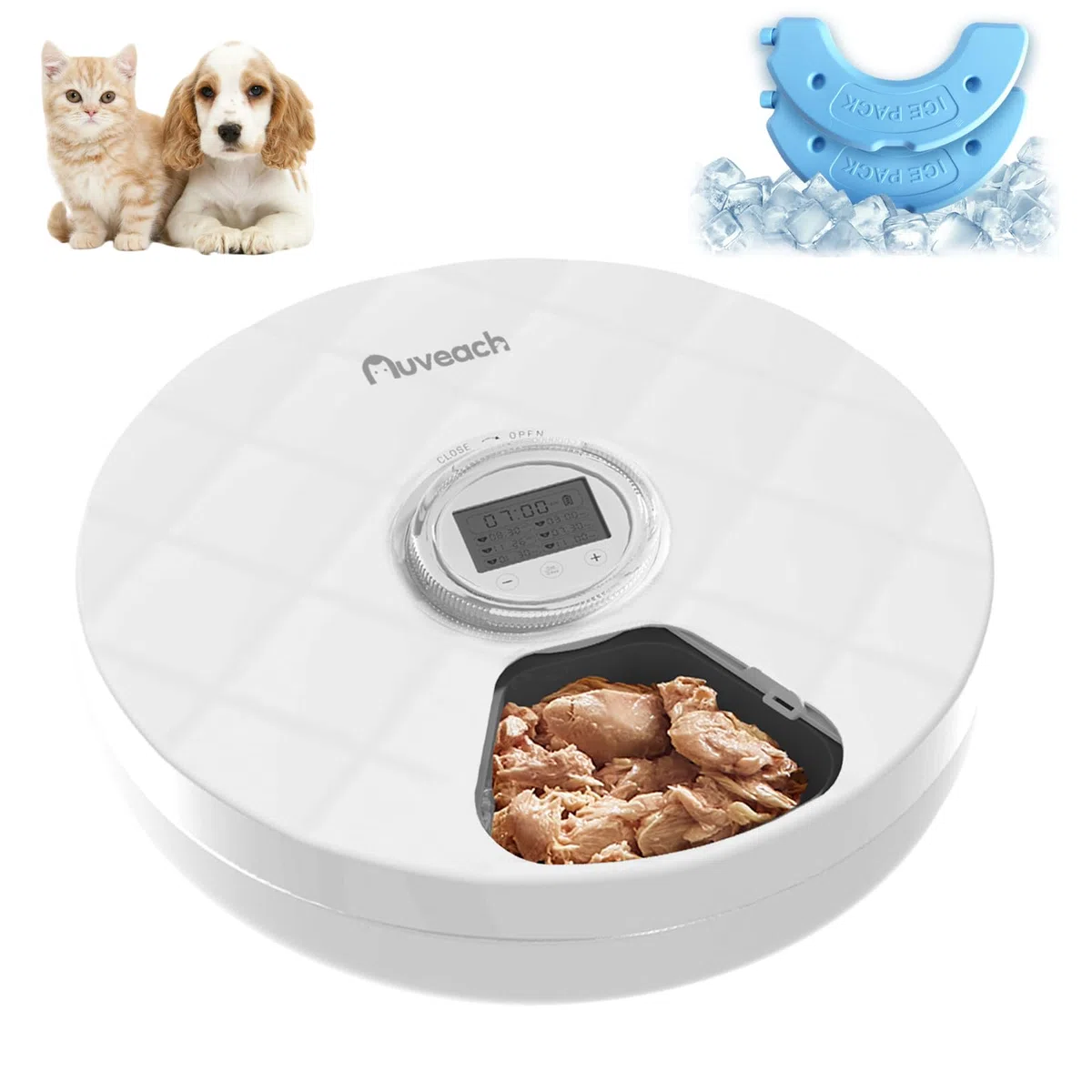 Comedero Automático Comida Humeda para Gatos Alimentador Automatico Gatos con Temporizador Programable y 6 Comidas Dos Paquetes de Hielo para Comida Seca y Húmeda, Protección de Patas
