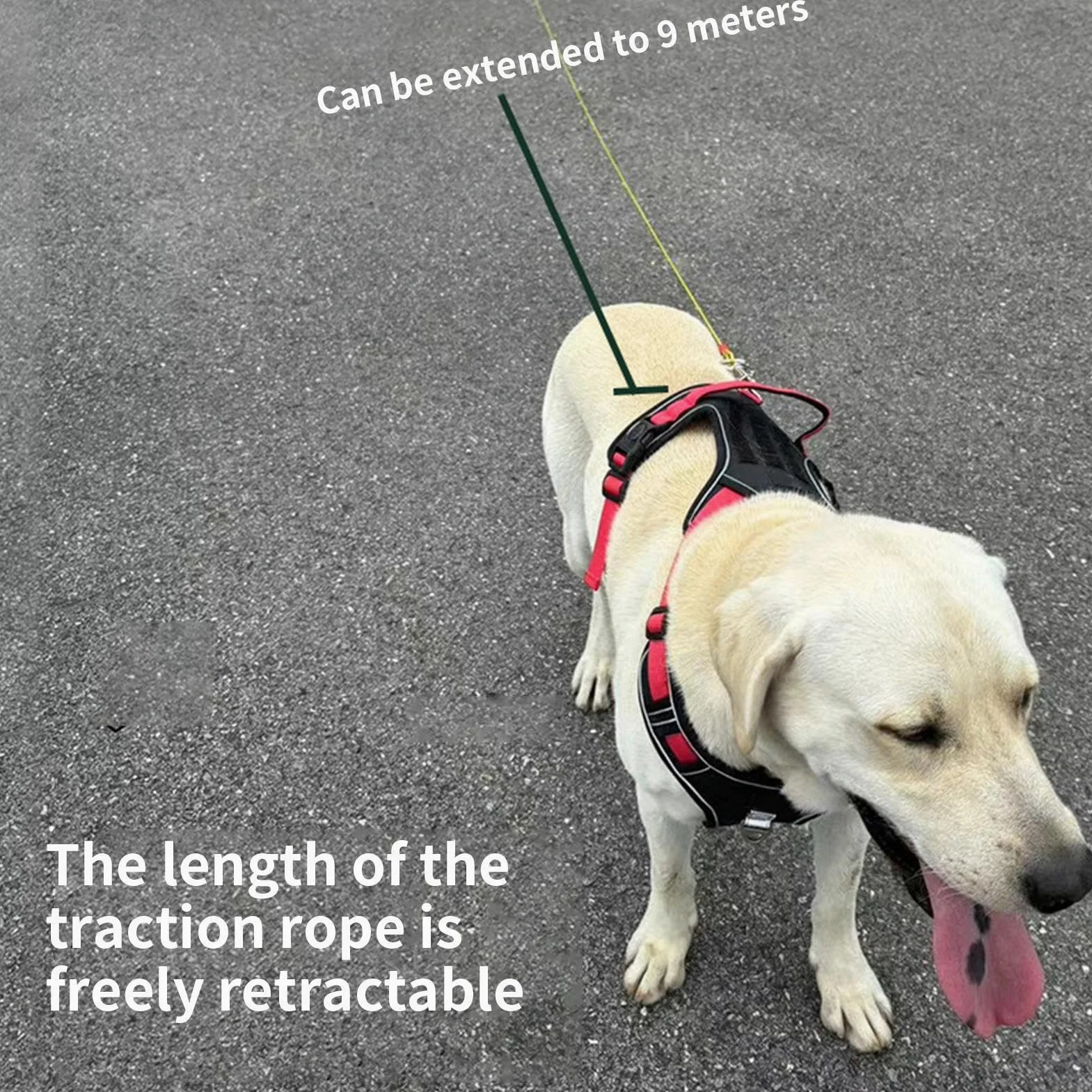 Correa Retráctil para Perro Resistente para Perros Y Animales