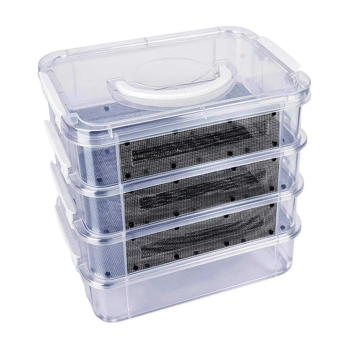 Kit de Cría de de la Harina Contenedor de Malla Transparente de 4 Niveles | para con Asa para Reptiles, Arañas, Aves, Pollos, Lagartos, Dragones Barbudos