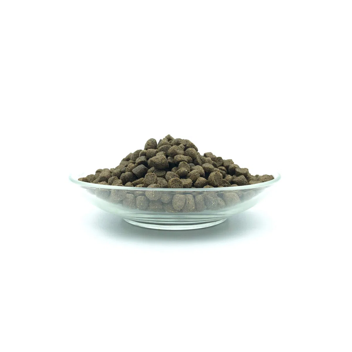 Comida seca para cachorros - Landgut-Schmaus Junior de Bellfor Comida seca para perros sin cereales con proteína de insectos para perros jóvenes. Comida hipoalergénica para perros. (7,5)