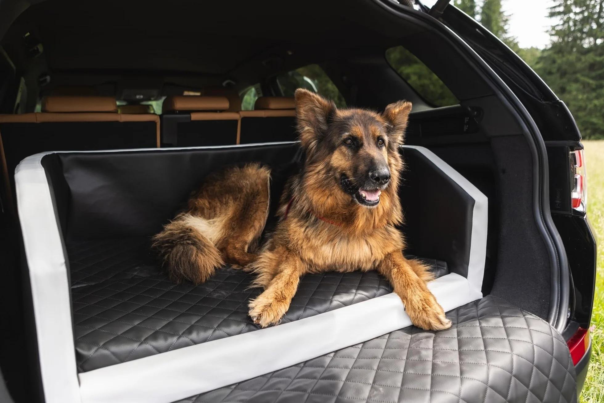Velinda Transportín Cama de Coche para Perros Maletero colchón 90x55 cm (Color: Negro)