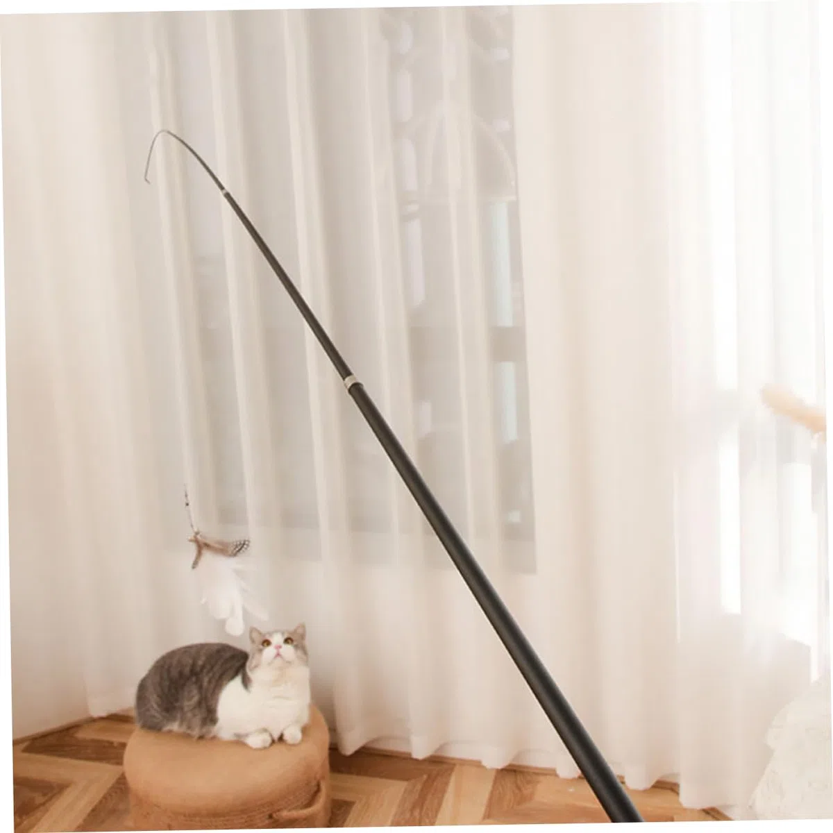 FRCOLOR 3 Juegos De Juguetes Telescópicos para Gatos Juguetes Interactivos De Interior para Gatos Ejercicio De Curiosidad Caña De Pescar Juguete para Mascotas 2 Piezas X 3