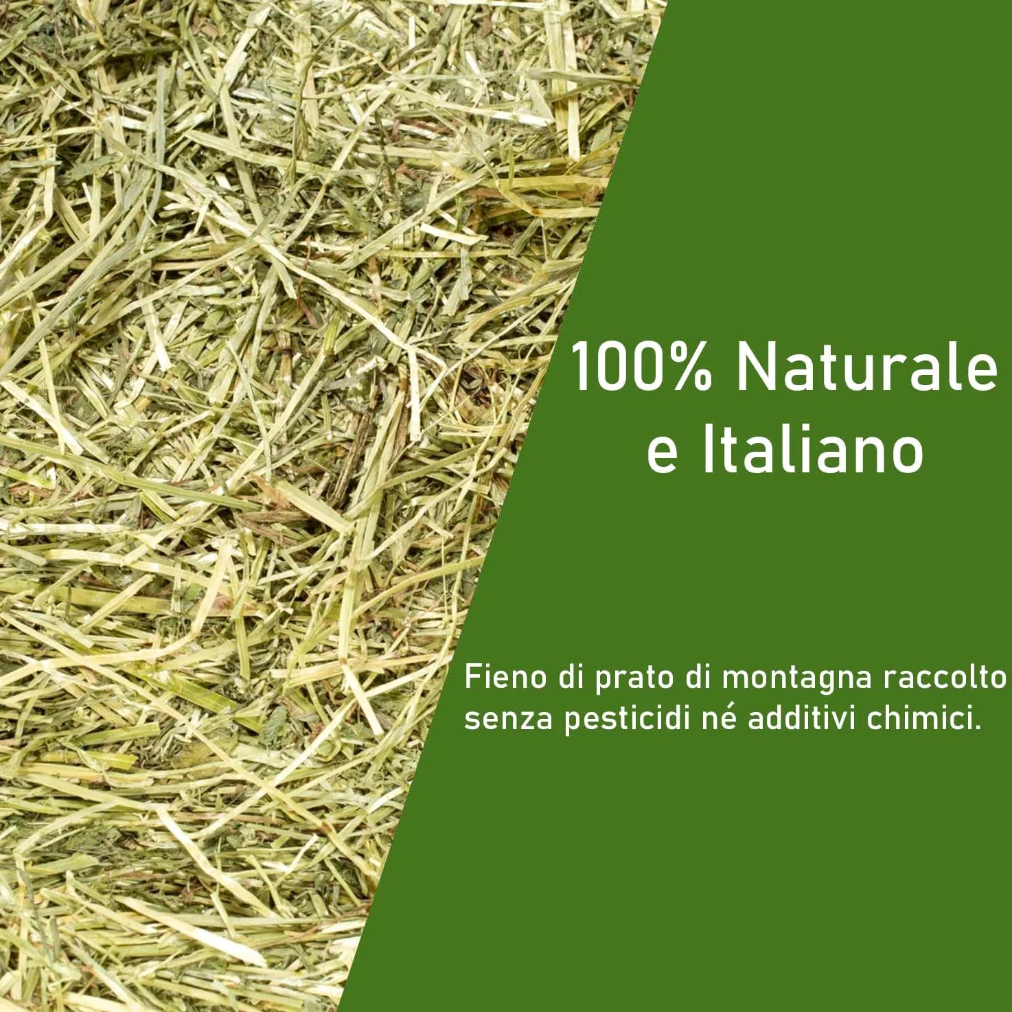 Heno natural para caballos, ovinos, caprinos y ganado 15 kg | Bala de heno italiano de prado de montaña orgánico | Alimento para todos los roedores, conejos y ganado | Alta calidad 15