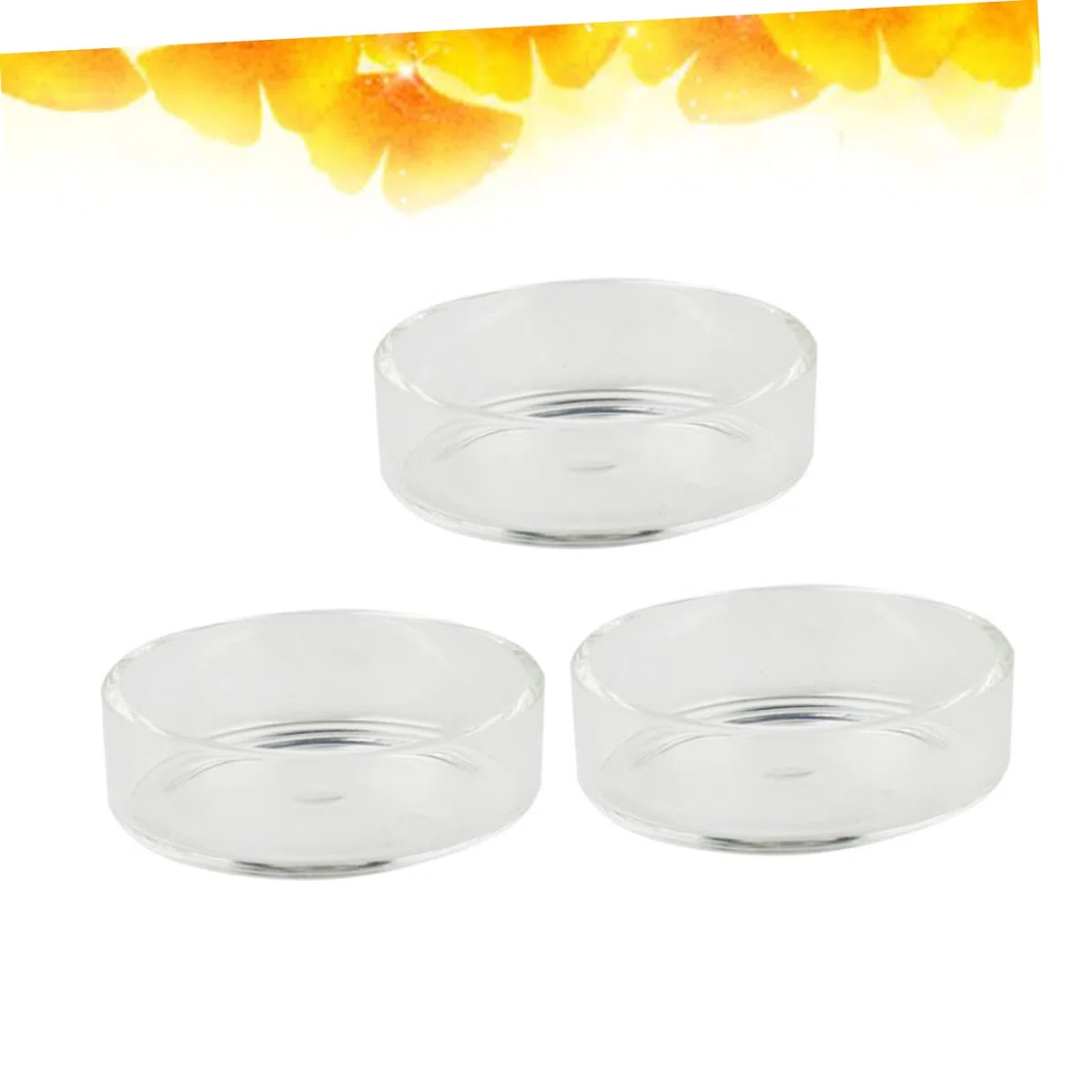Didiseaon 2 Juegos de Cuencos Redondos de Vidrio para Camarones Comederos para Camarones Suministros para Acuario Adornos de Cristal para Tanque de Camarones 5 Piezas