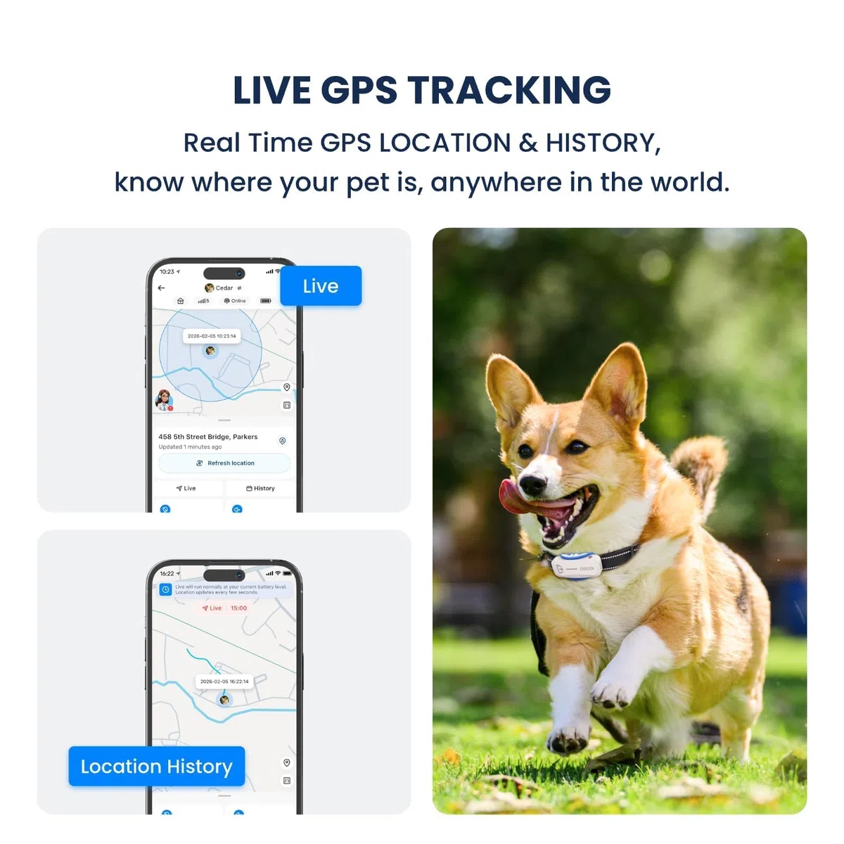 Rastreador GPS para perros, seguimiento de ubicación en tiempo real y gestión de salud con IA, valla virtual, impermeable, compatible con iOS y Android (blanco)