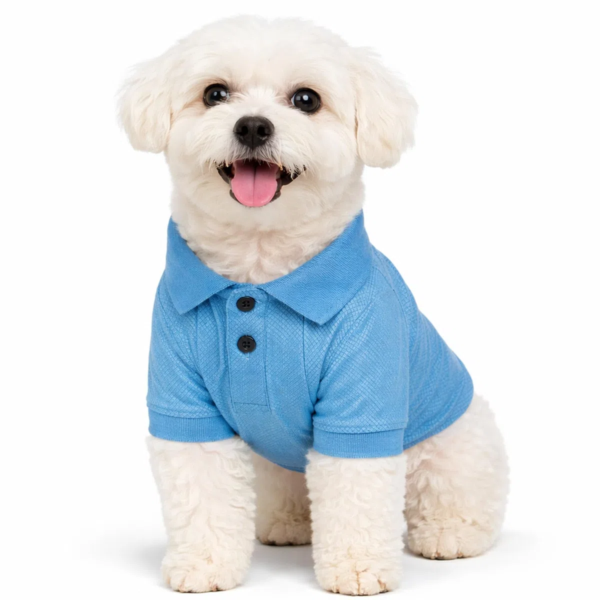 PetLife Active Playera Polo para Perro, a Prueba de mechas, elástica, a Prueba de Fugas, tamaño Mediano, Color Azul