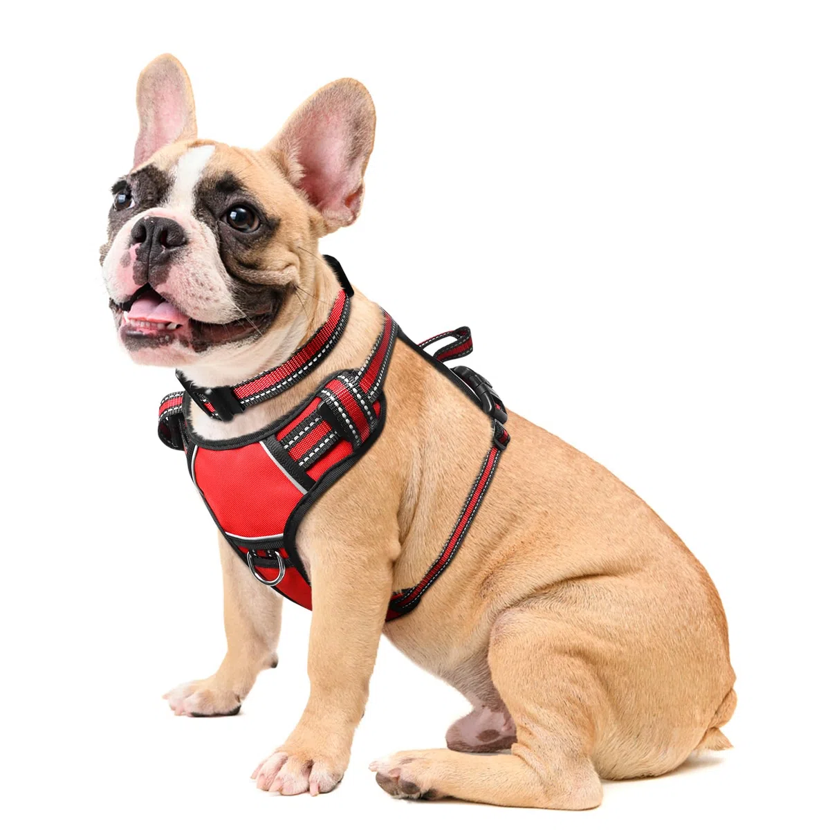 WINSEE Arnés para perro sin tirones, arnés para mascotas con collar para perro, chaleco Oxford reflectante ajustable para exteriores, clips de correa delantera/trasera para perros pequeños, medianos,