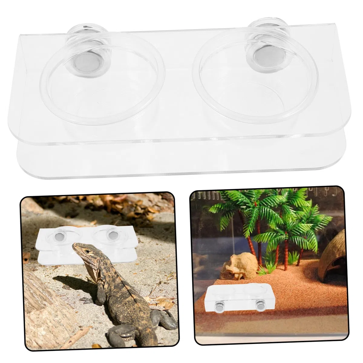 Happyyami 4juegos Alimentador De Reptiles Magnético con Tazas De Agua y Comida Cuenco Transparente para y Camaleón para Terrarios y Hábitats De Reptiles Fácil De Instalar y Usar