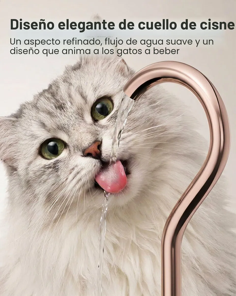 TOMXCUTE Fuente para Gatos Acero Inoxidable (Acero Inoxidable+Latón + plásticos)