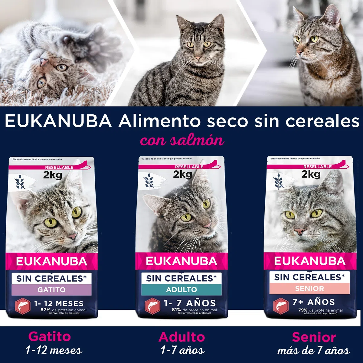 EUKANUBA Grain Free Alimento Seco para Gatitos en Crecimiento, Alimento Seco Premium Rico en Salmón para Gatitos, 10 kg