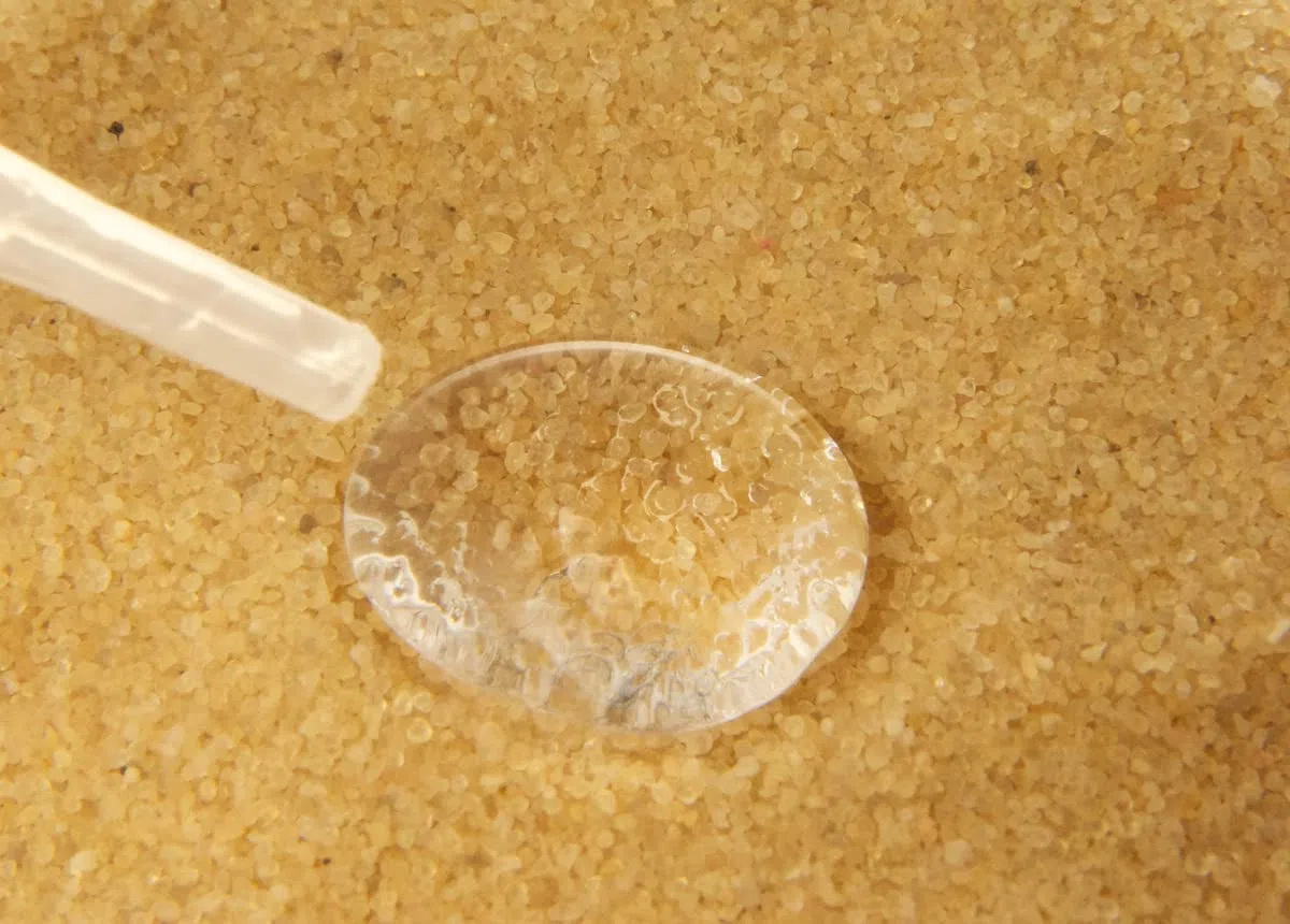 Arena para Gatos | 2,5 kg | para la Recogida de orina | Apto para Todos los Animales Que necesiten muestras de orina | Método sin estrés