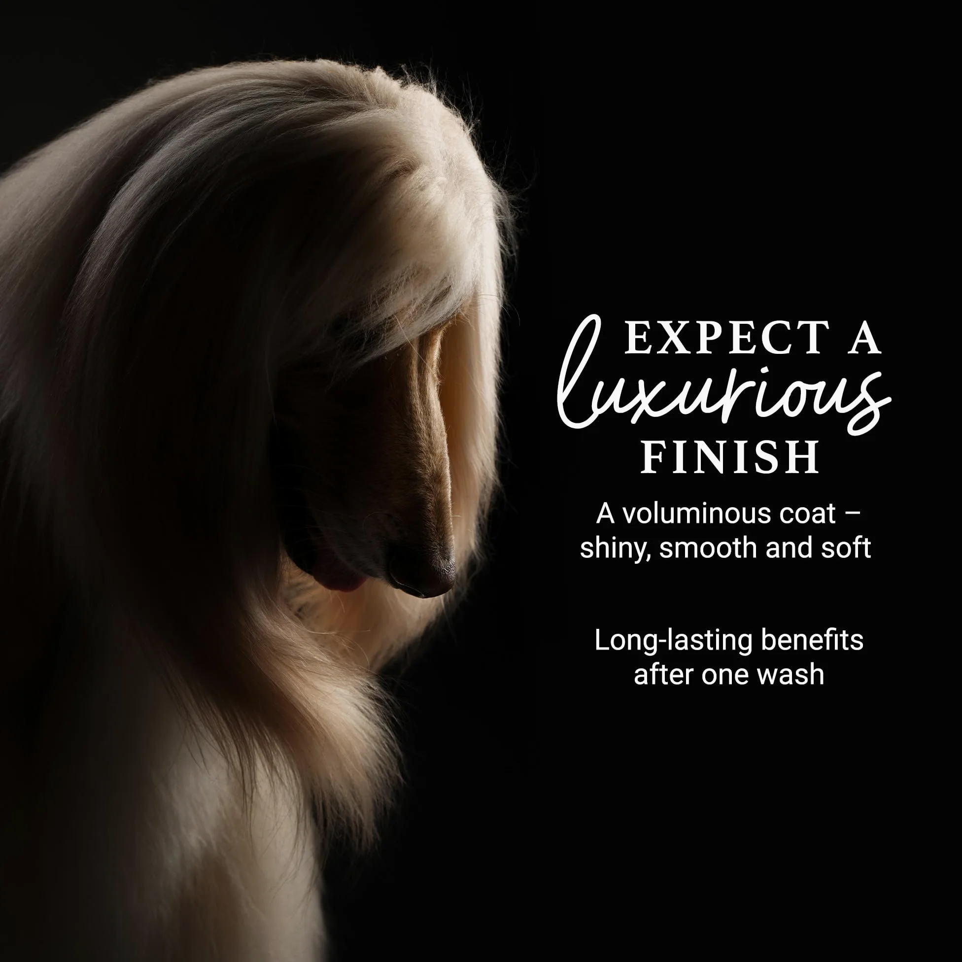 iGroom Champú desenredante y desenredante para perros, cuidado de belleza de mascotas de lujo, afloja los enredos + capa inferior no deseada, añade brillo y volumen, fabricado en Estados Unidos, 3.8 L