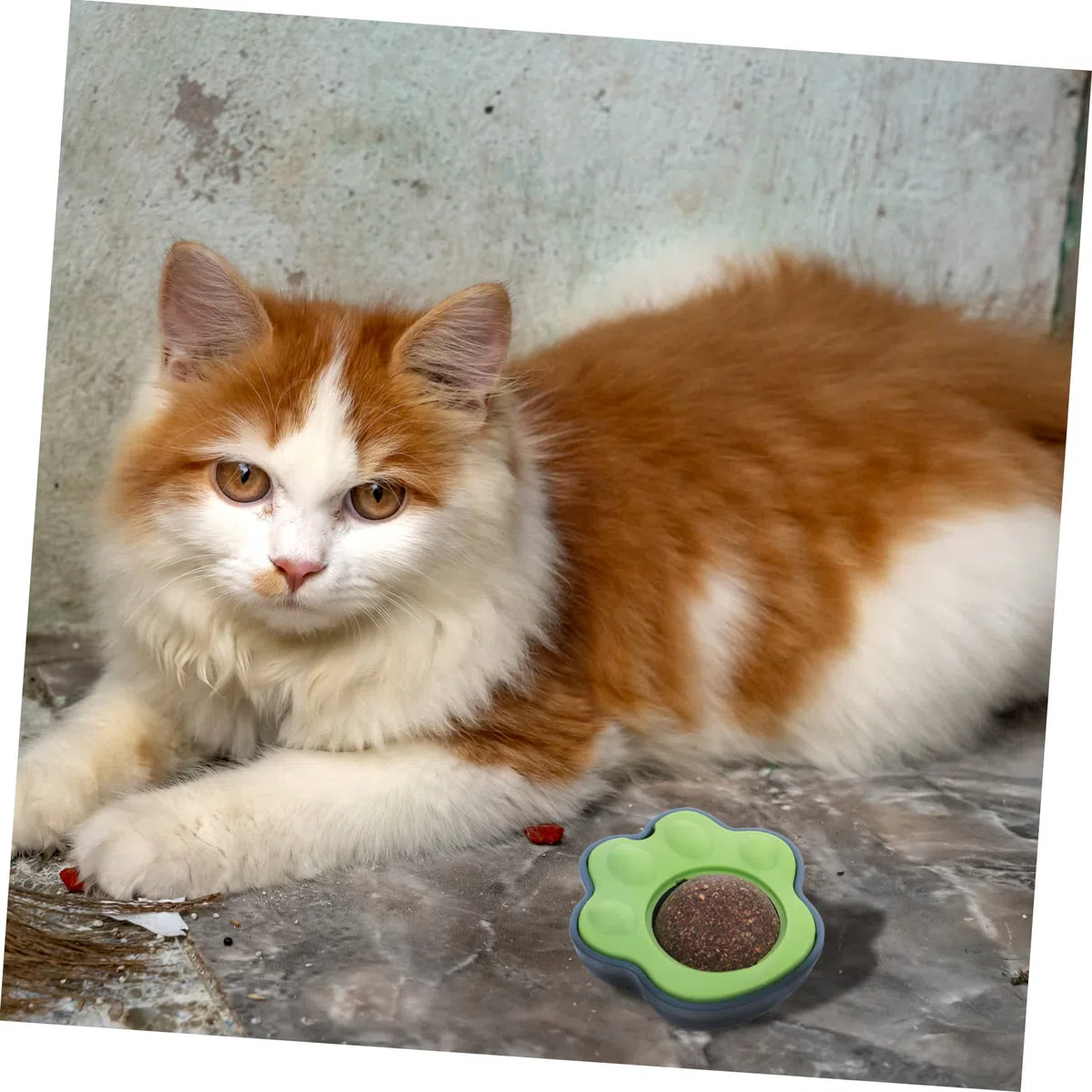YARNOW 10 Juegos Gatera Juguete para Mascotas Gatitos Dulces Juguetes para Gatos Juguete Gatito Juguete Interactivo para Gatos Lamiendo Merienda El Plastico