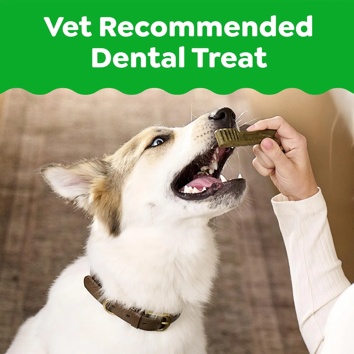 Greenies Golosinas dentales para Perros