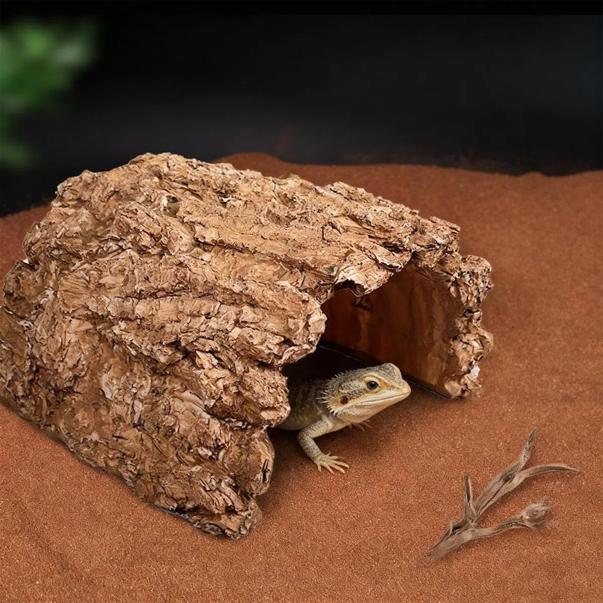Escondites Y Cuevas para Reptiles Refugio De Cueva De Resina