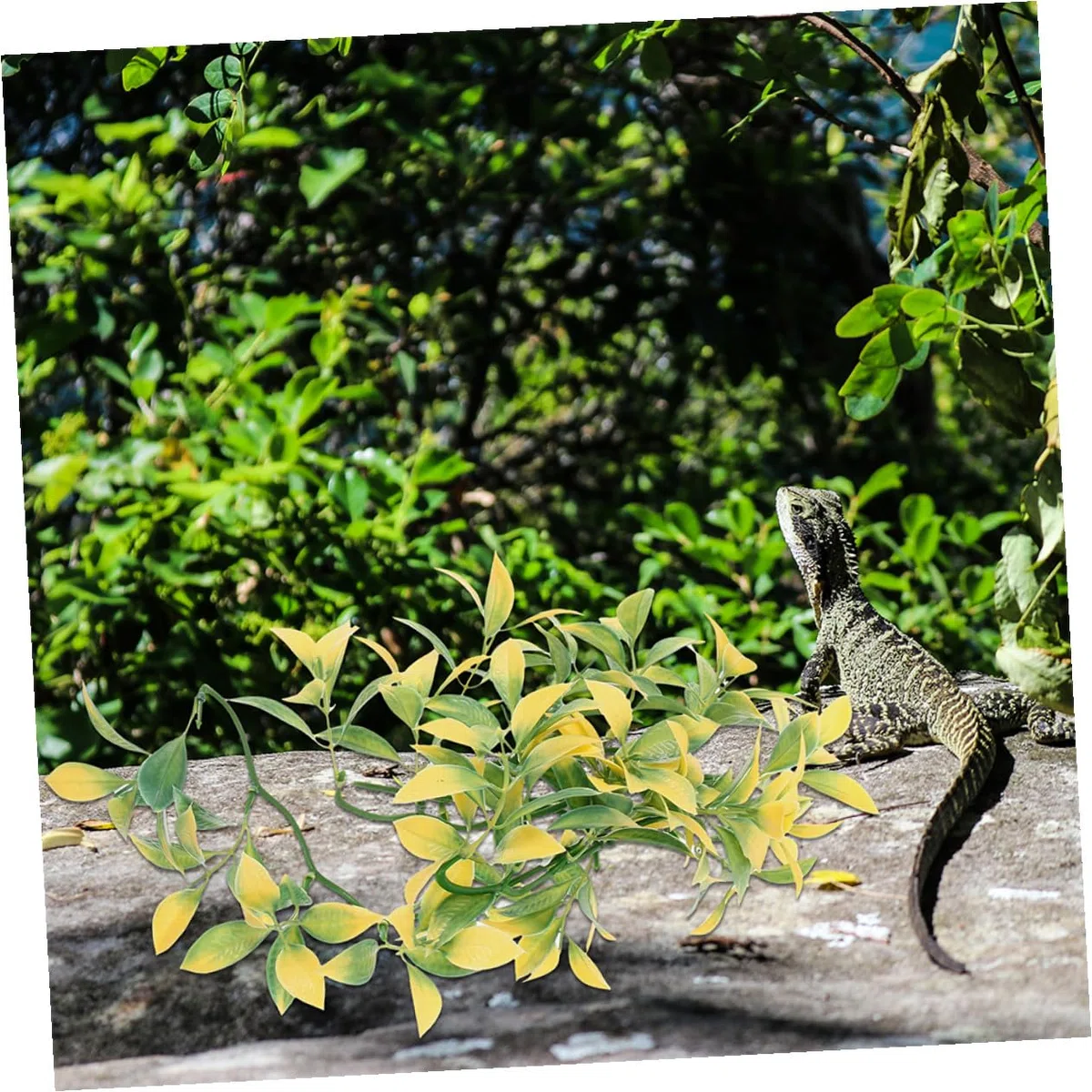 Mipcase 6piezas Plantas Artificiales para Reptiles Decoración de Terrarios Enredaderas Colgantes de Plástico para Acuarios Jaulas Plantas Trepadoras para Decoración de Terrarios