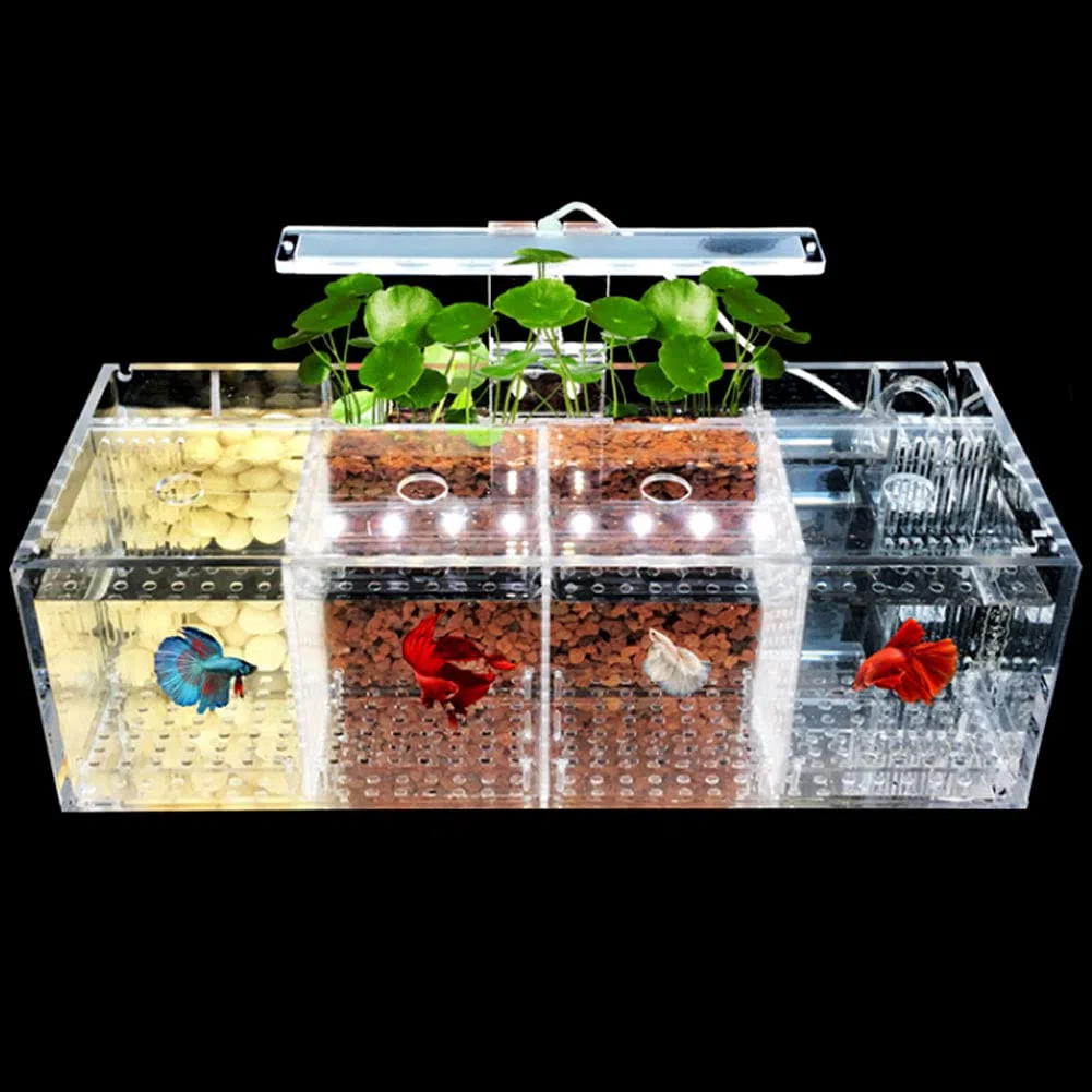 Betta Fish Tank Aquarium Material acrílico Mini pecera de Escritorio Kit de Cuencos con Bomba de Agua y Luces LED Autocirculación Tanque ecológico Sala de Aislamiento de Peces Enfermos (4 Rejillas)