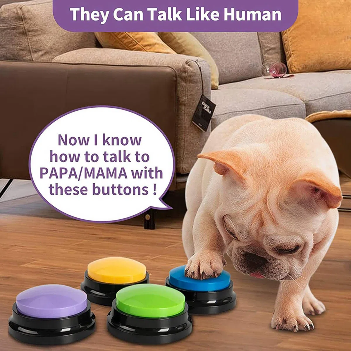 Botones Grabables para Perros, Botones para Perros para ComunicacióN Zumbador de Entrenamiento de Mascotas, Juego de Botones Parlantes para Perros, Regalo Divertido, 12 Piezas
