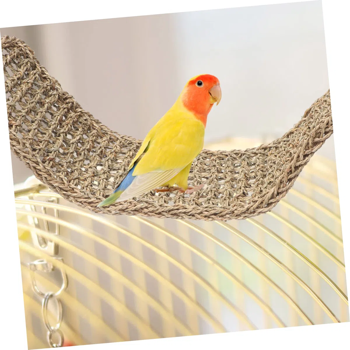 Hamaca para Pájaros y Cacatúas, Columpio de Hierba Resistente
