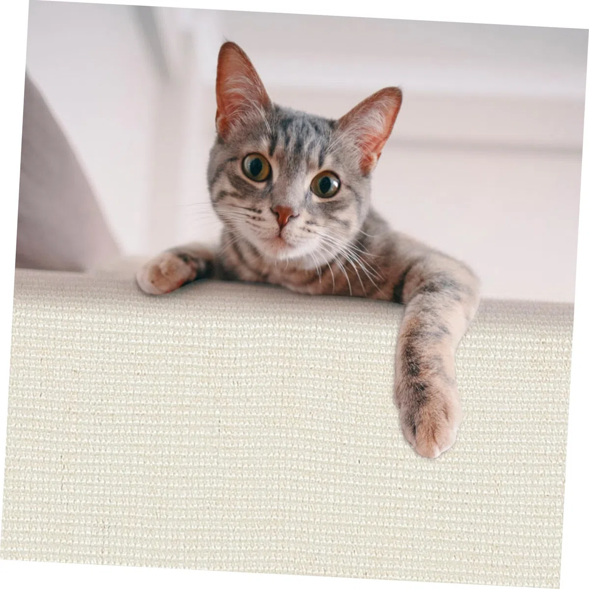 Protector contra Arañazos para Mascotas de Sisal para Sofá | Protector Sofá Gatos Arañazos, para Reposabrazos, Casa, Oficina y Tienda