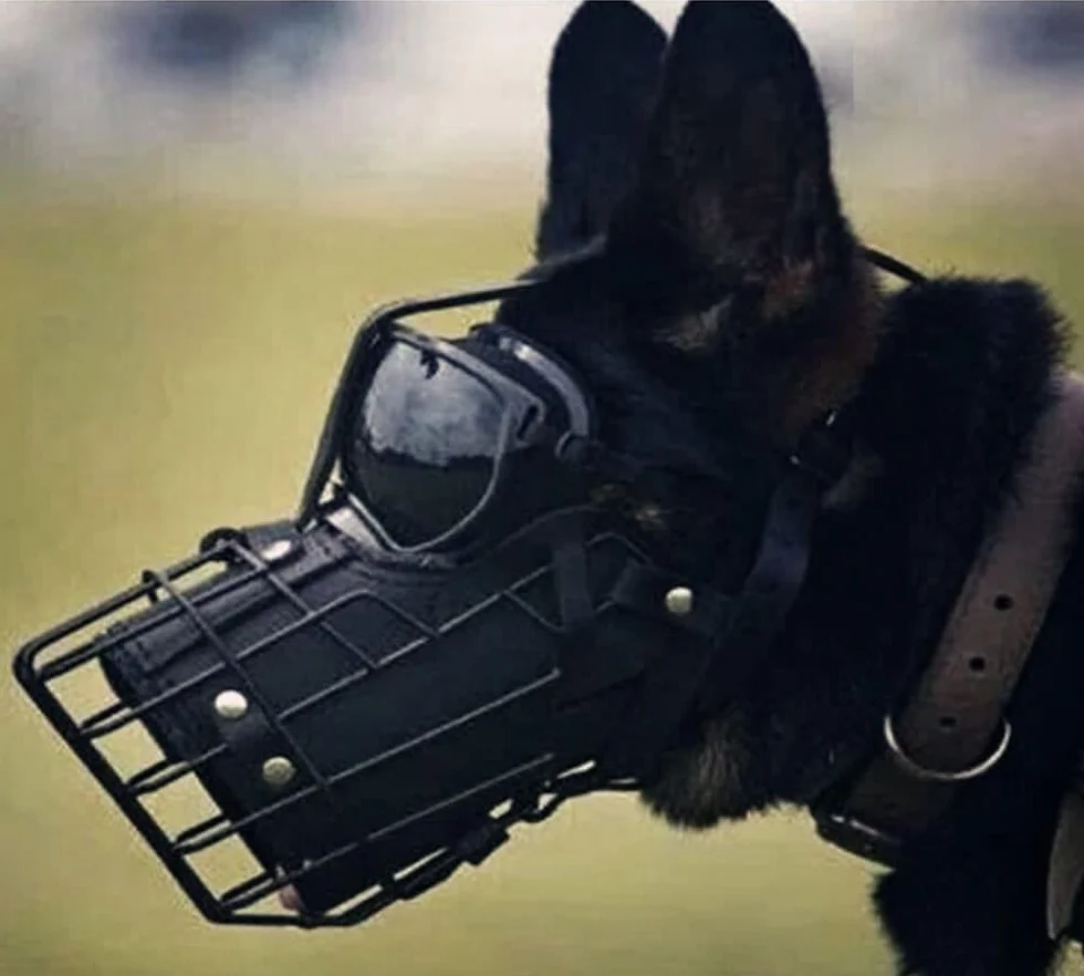 Bozal ajustable de metal y cuero para perro pastor alemán, doberman, rottweiler y otros perros medianos y grandes, ideal para adiestramiento, negro, L