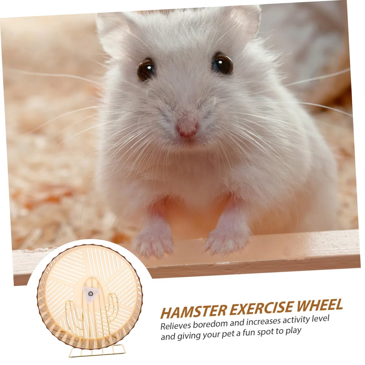 Kisangel Rueda de Hámster Silenciosa para Ejercicio, Rueda Compacta para Erizos y Chinchillas, Accesorio Adorable para Jaulas de Roedores