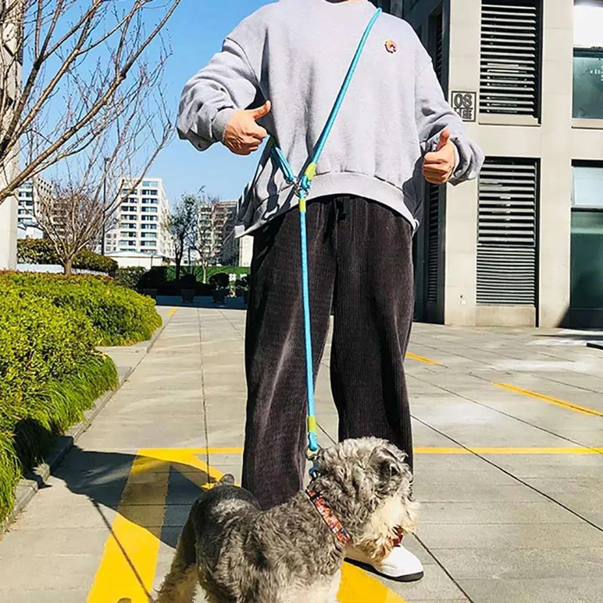 Correas de Nailon Reflectantes Cadena de Perros para Perros domésticos Correas de Cuerda de tracción para Correr Perro Que Camina Cadena de Cuerda de Manos Libres