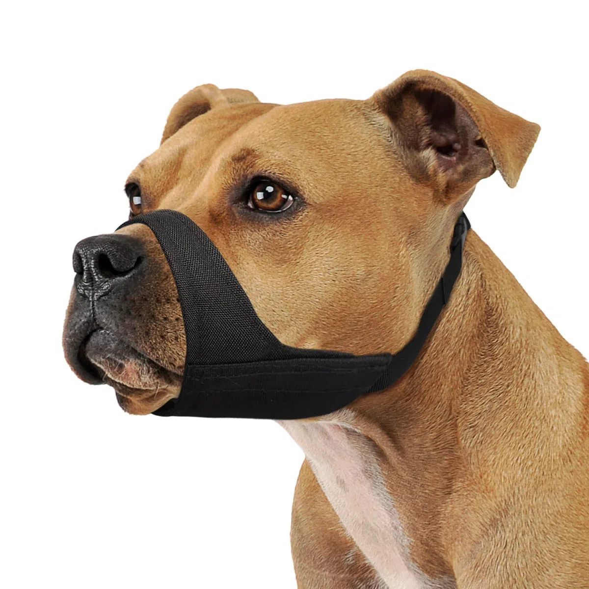 Mayerzon Bozal Pitbull, bozal suave para American Bully Bulldog Boxers Rottweilers, bozal masticable antiladridos para aseo, bozal de tela para perros medianos y grandes