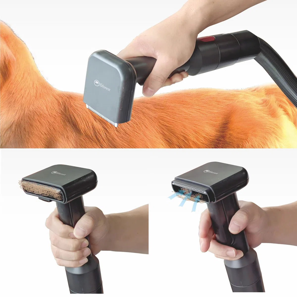 Cepillo de aseo al vacío para mascotas, peine de pelo, herramienta de fijación para perros y gatos