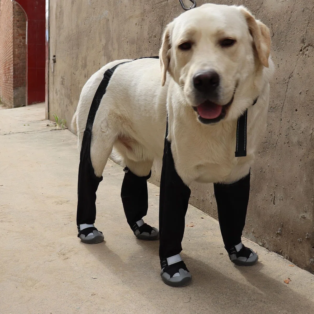 Botas De Nieve con Tirantes para Perros Impermeable Ajustable Protector De