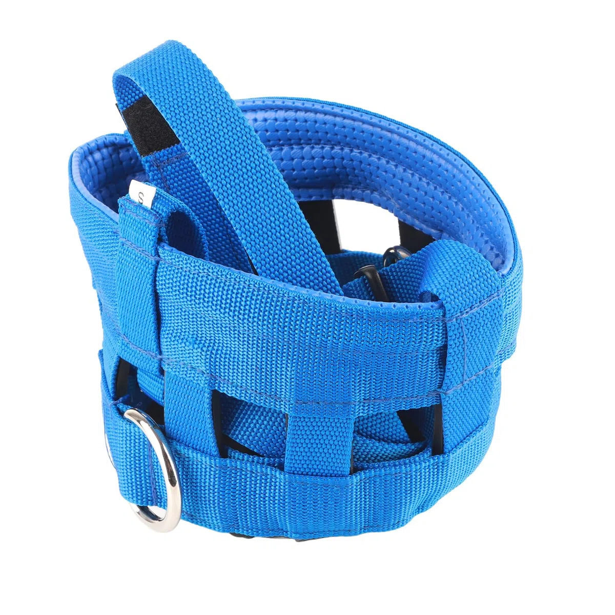 DOACT Bozal de pastoreo de caballos, cabestro antimordeduras, cuello de cabeza de nailon azul de tamaño pequeño con cierre ajustable, tachuelas ecuestres de campo seguro