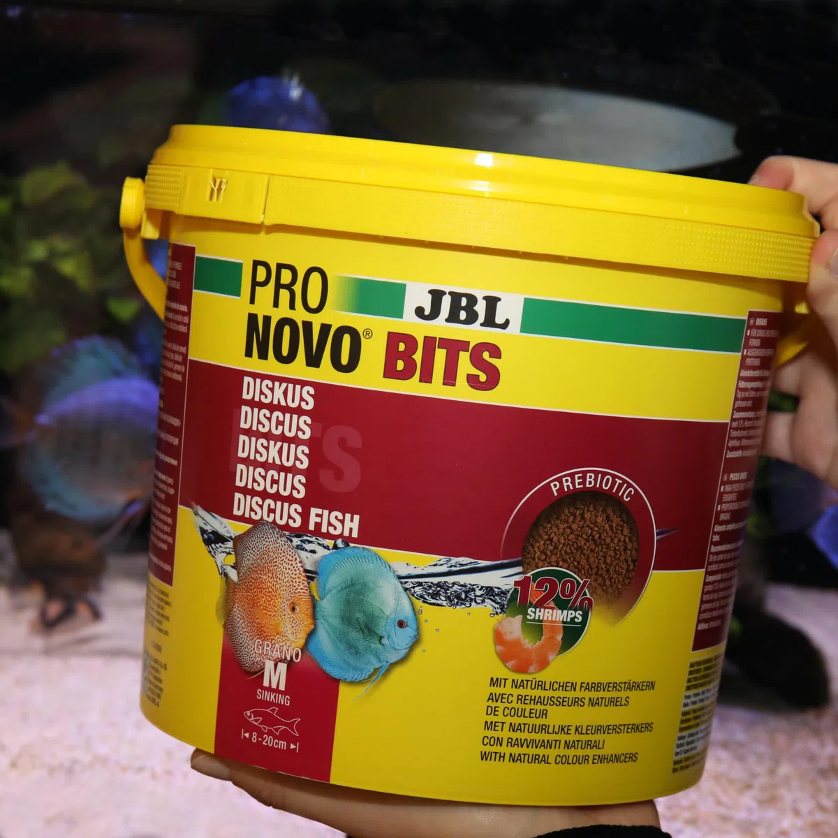 JBL PRONOVO bits Grano, pienso primario para Peces y cíclidos de 8-20 cm, alimento para Peces gránulos, Talla M, 5500 ml
