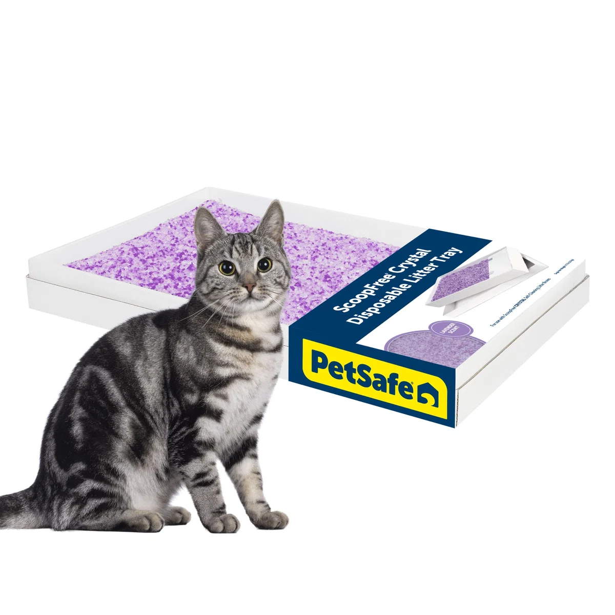 PetSafe ScoopFree - Bandeja de Arena desechable de Cristal para Gatos, Caja de fácil Limpieza, Bandeja de Repuesto para Caja de Arena eléctrica, Aroma a Lavanda, Bolsa de 4.4 Libras