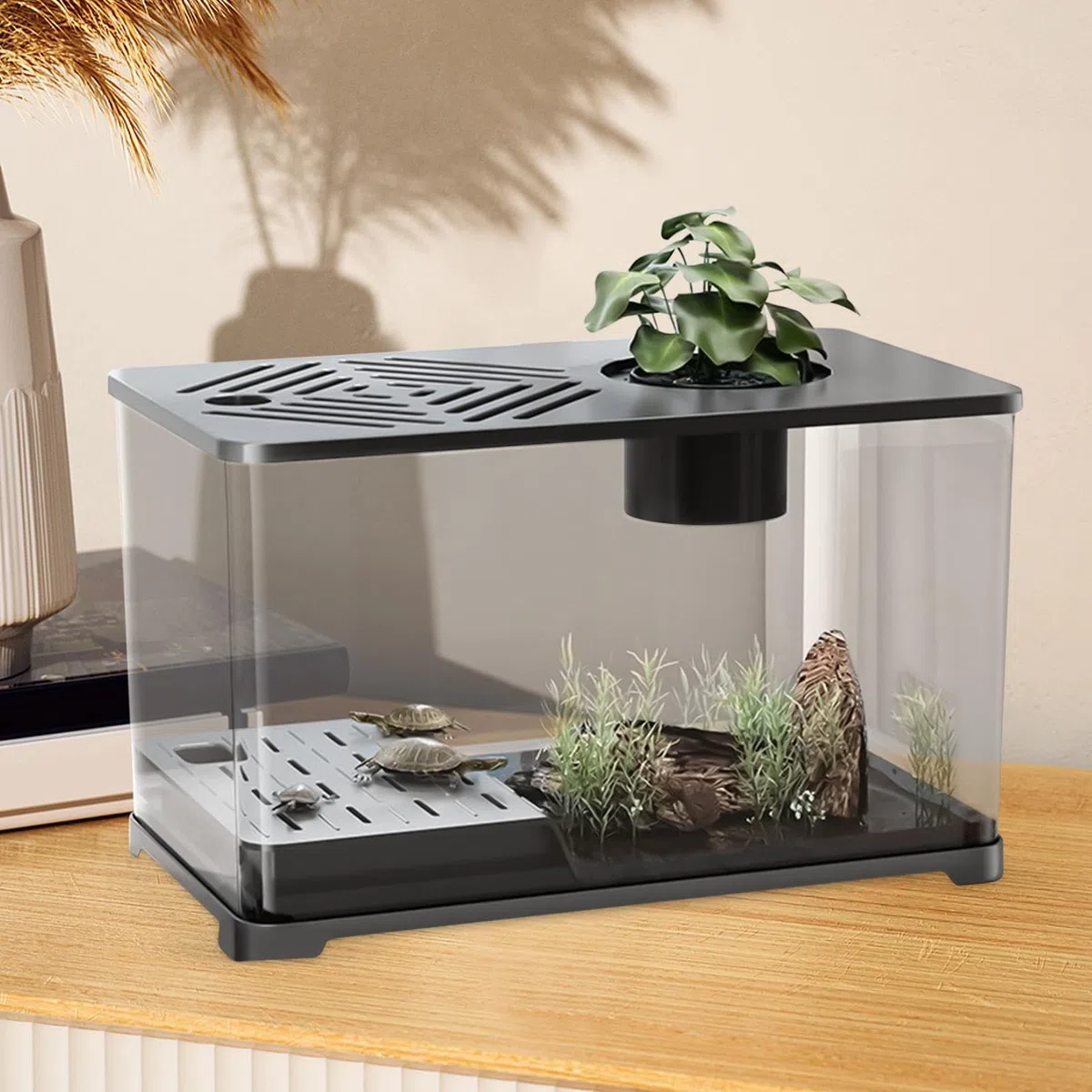 Betta - Set de acuario grande para peces, diseño panorámico moderno