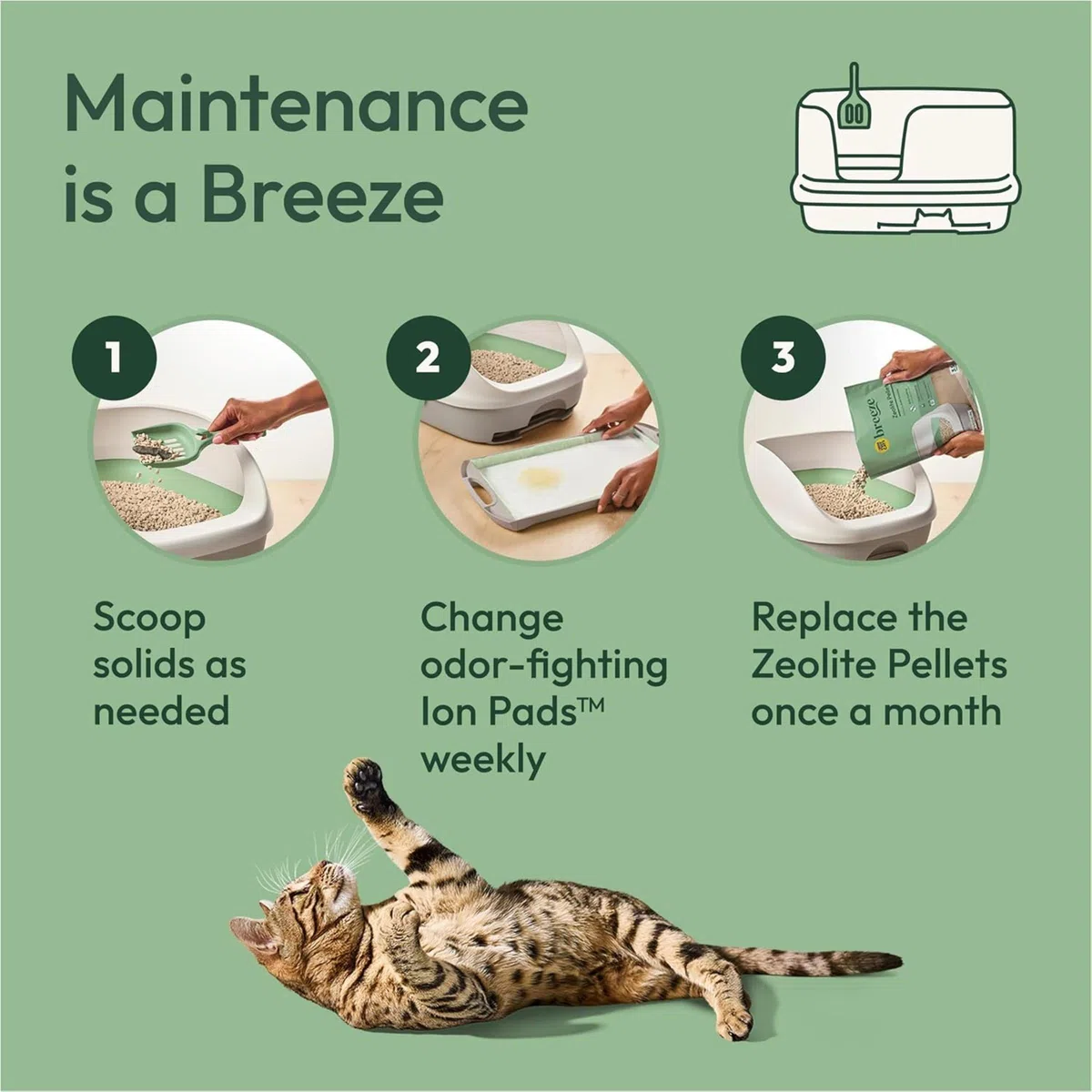 Purina Tidy Cats Breeze - Sistema de Arena para Gatos, Paquete de Recarga - Caja de 8 Libras
