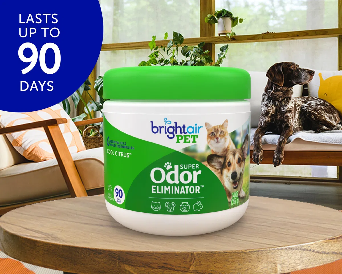 Bright Air Eliminador de olores para Mascotas, Aroma cítrico frío 14 oz (Paquete de 3)