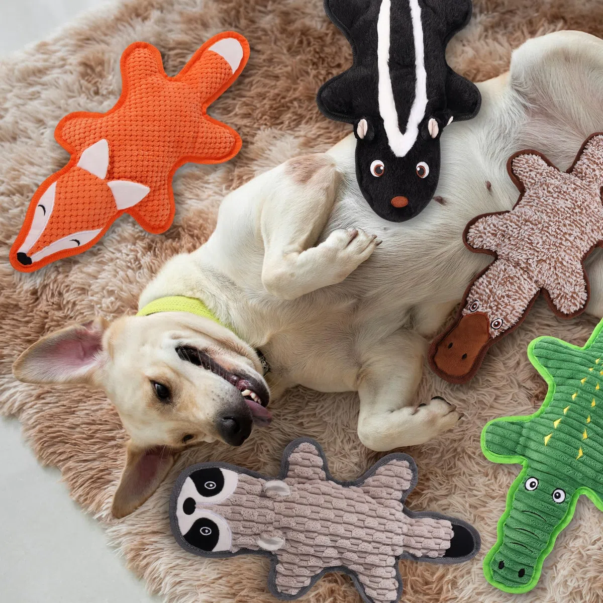 Juguetes chirriantes para perros, Regalos para Mascotas, Paquete de 5 Juguetes Arrugados de Felpa, Sin Relleno para Perros Pequeños, Medianos y Grandes