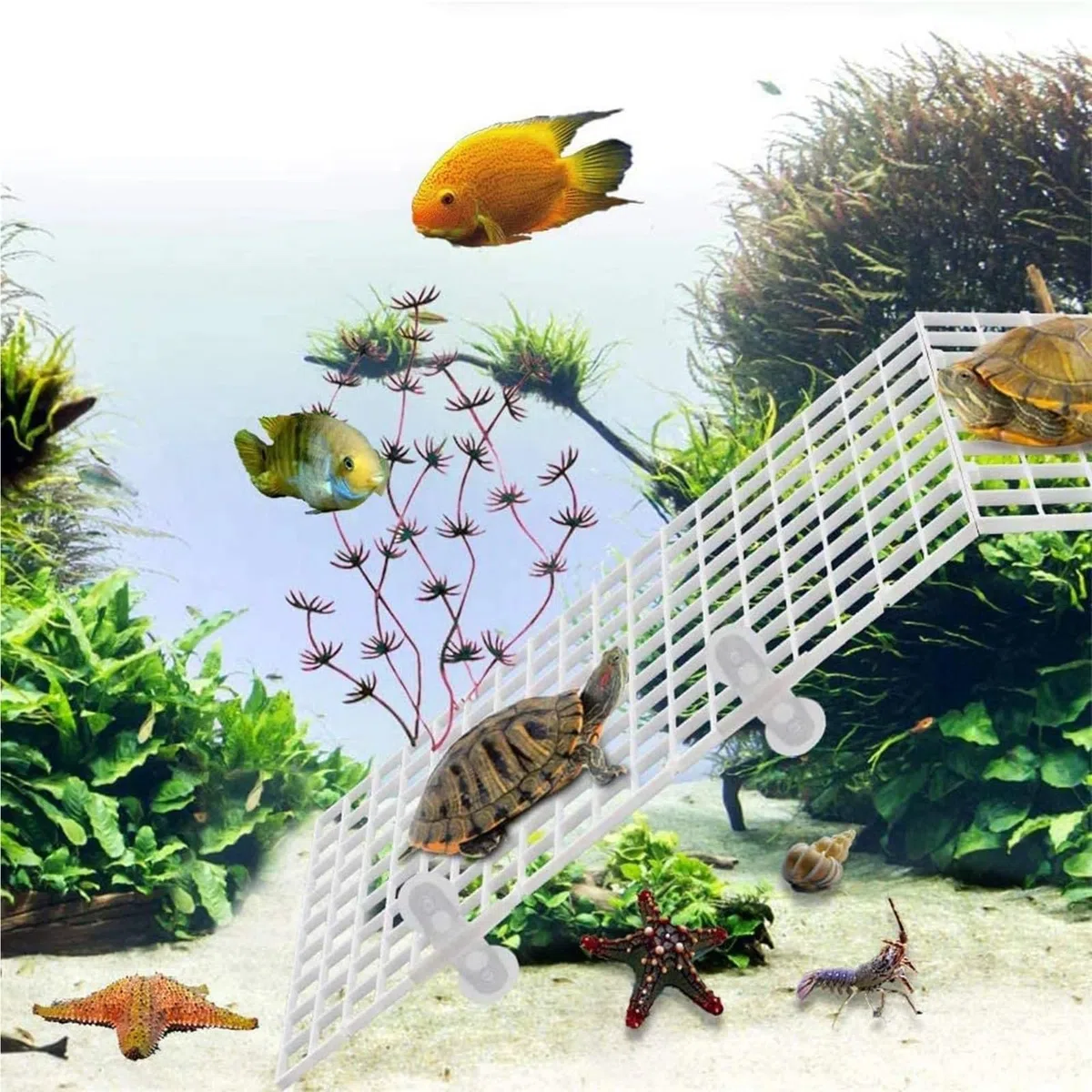 Separador Acuario 10 separadores de Acuario, pecera, Rejillas Filtro, Bandeja separación, Tablero Aislamiento, Rejilla con 20 Pinzas Ventosa para Separación