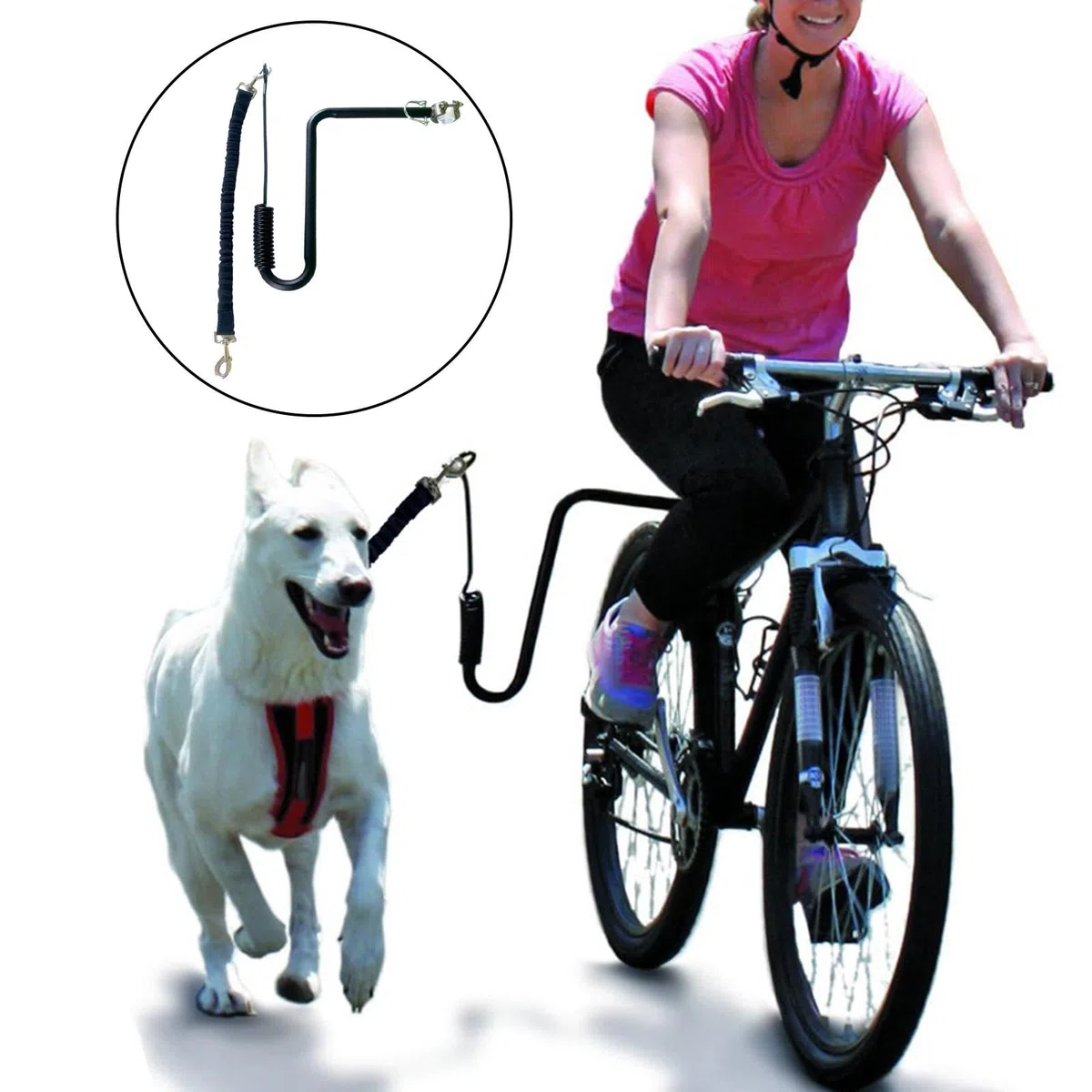 Correa para Perro Bici con Manos Libres Accesorio Resistente Antichoque Portátil y Fácil de Instalar Adecuado para Ciclismo y Actividades Recreativas