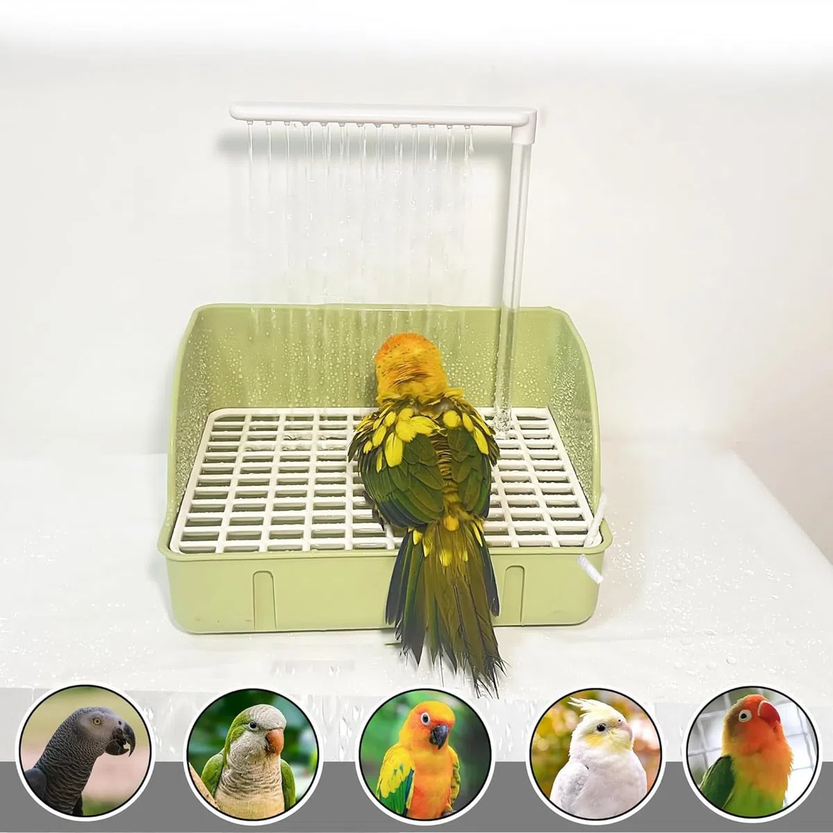 Genérico Bañera para Loros,Fuente de Ducha Circulante para Aves con Bomba | Contenedor Espacioso para Baño De Loros, Accesorio para Cotorras Periquitos Agapornis Cacatúas Guacamayos