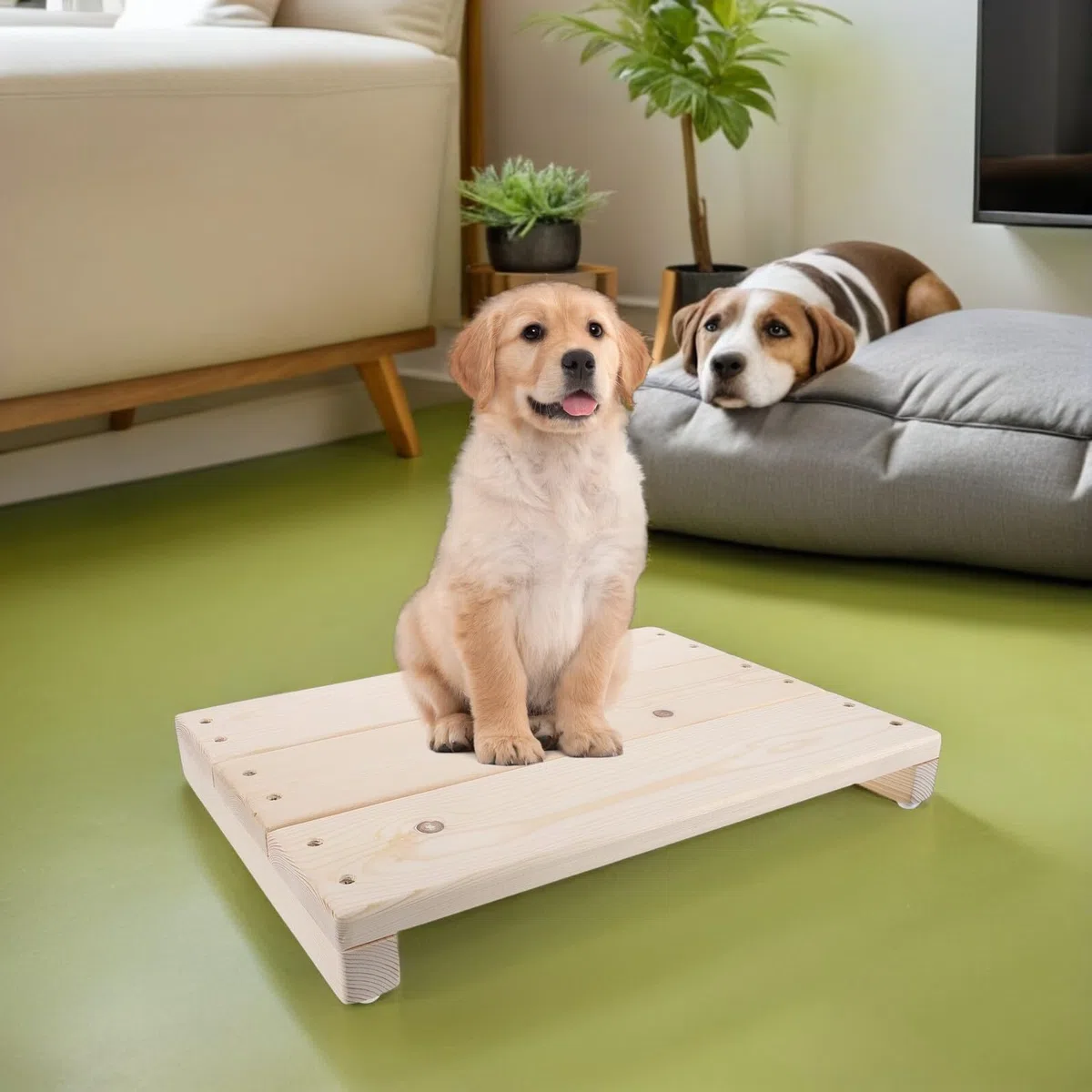 GANAZONO Tablero de Entrenamiento para Perros con Plataforma Antideslizante de Madera, Tamaño Pequeño, Equipo de Agilidad para Cachorros, Accesorio Seguro para Adiestramiento en