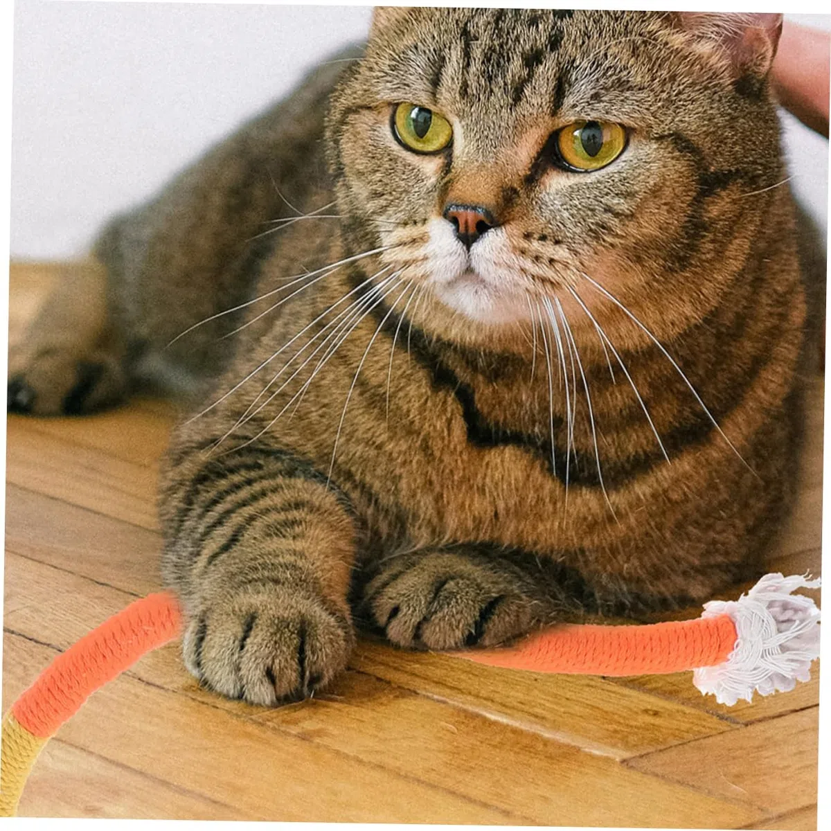 BESPORTBLE 12piezas Juguetes para Gatos De Catnip De Cuerda Masticable para y Aliviar Estrés Juguetes para Mascotas Interiores